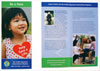 Graphic Designs Designers - Brochure Design