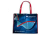 UMass-Mem-Lab-Tote Design  - Mary Richinick Graphic Design - Graphic Designers - Designs - Worcester - Boston - Boston Metrowest - Providence - Springfield - MA  RI CT NH NY