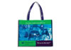 UMass-Tote-Bag